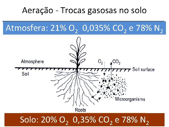 Aeração - Trocas gasosas no solo Atmosfera: 21% O 2 0, 035% CO 2