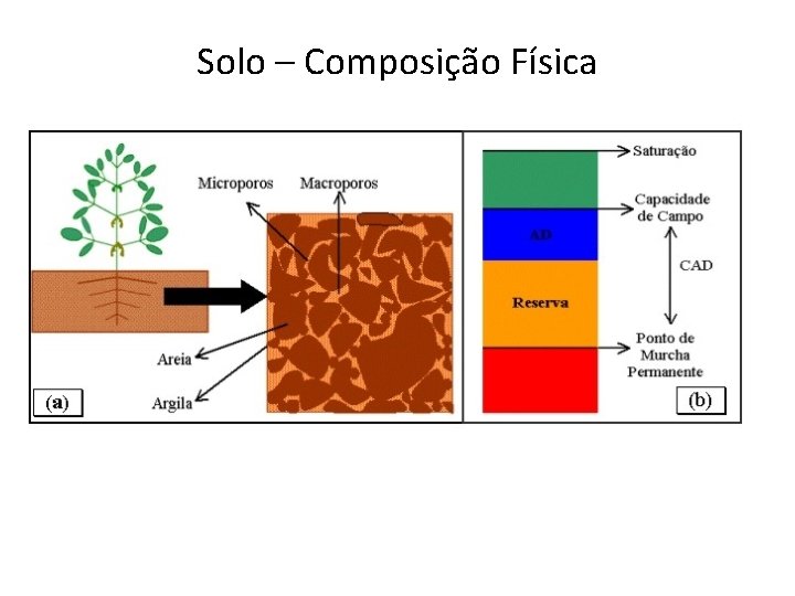 Solo – Composição Física 