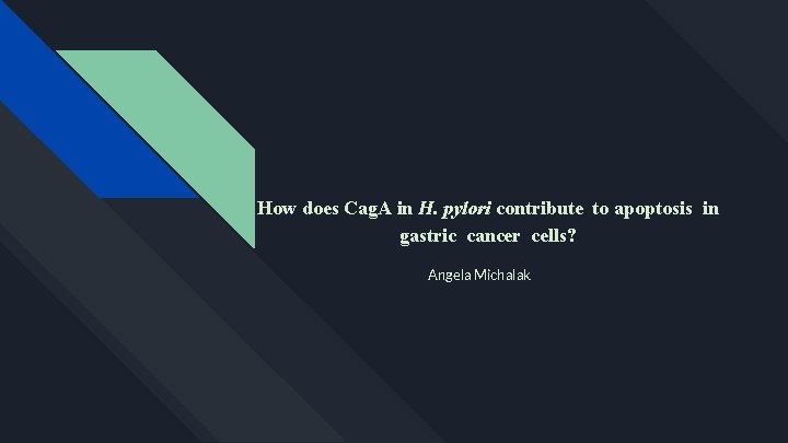 How does Cag. A in H. pylori contribute to apoptosis in gastric cancer cells?