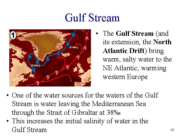Gulf Stream • The Gulf Stream (and its extension, the North Atlantic Drift) bring