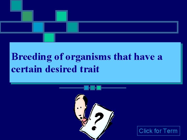 Breeding of organisms that have a certain desired trait Click for Term 