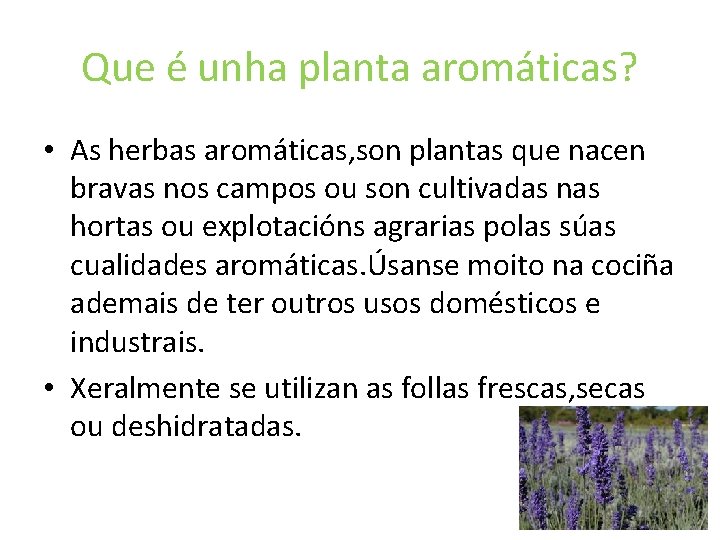 Que é unha planta aromáticas? • As herbas aromáticas, son plantas que nacen bravas