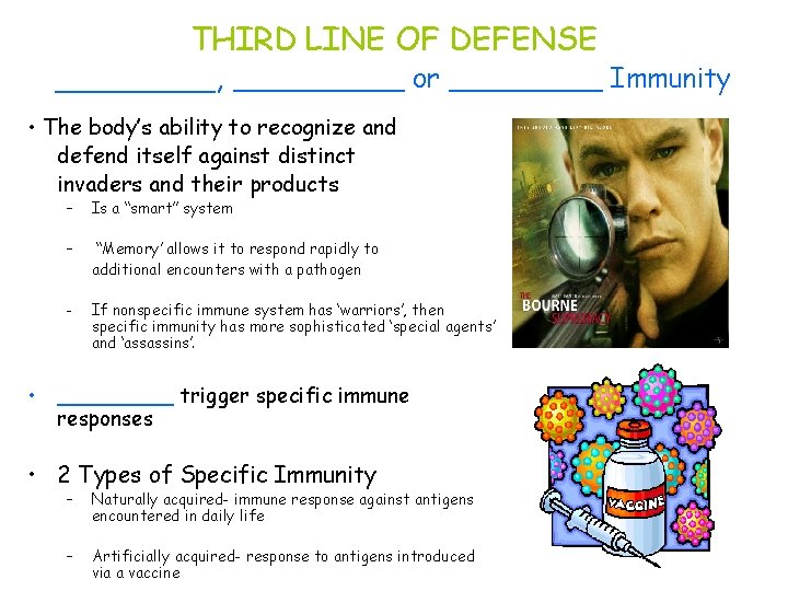 THIRD LINE OF DEFENSE ____, _____ or _____ Immunity • The body’s ability to