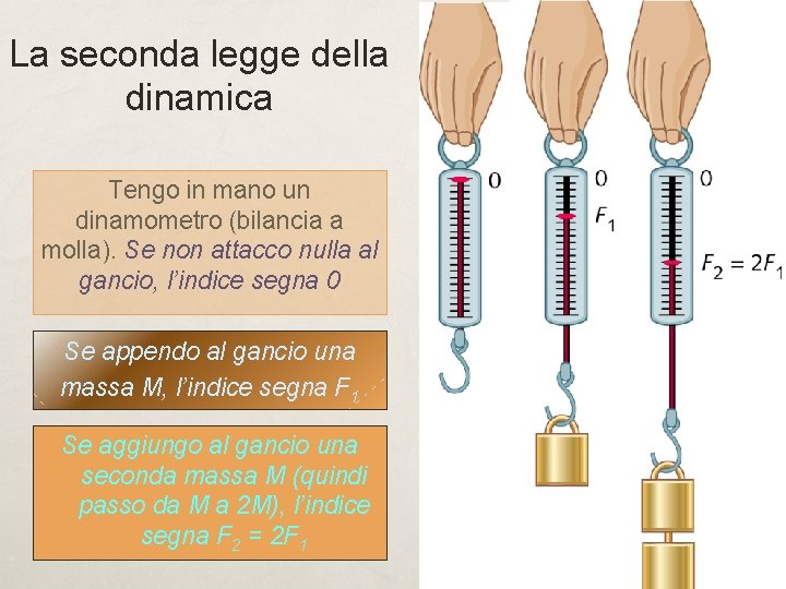 La seconda legge della dinamica Tengo in mano un dinamometro (bilancia a molla). Se La seconda legge della dinamica Tengo in mano un dinamometro (bilancia a molla). Se