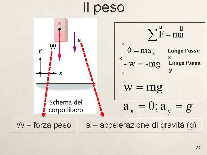 Il peso Lungo l’asse x Lungo l’asse y W = forza peso a = Il peso Lungo l’asse x Lungo l’asse y W = forza peso a =