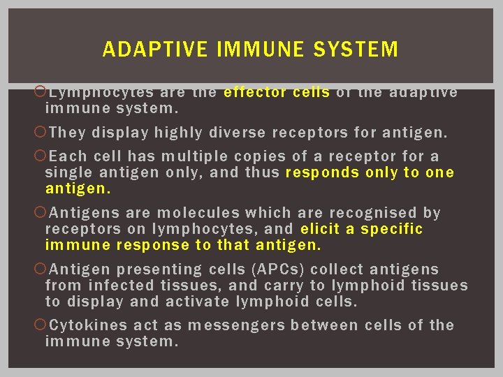 ADAPTIVE IMMUNE SYSTEM Lymphocytes are the effector cells of the adaptive immune system. They