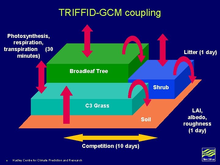 TRIFFID-GCM coupling Photosynthesis, respiration, transpiration (30 minutes) Litter (1 day) Broadleaf Tree Shrub C