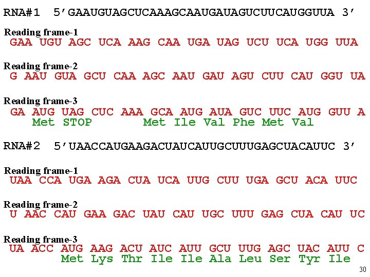 RNA#1 5’GAAUGUAGCUCAAAGCAAUGAUAGUCUUCAUGGUUA 3’ Reading frame-1 GAA UGU AGC UCA AAG CAA UGA UAG UCU