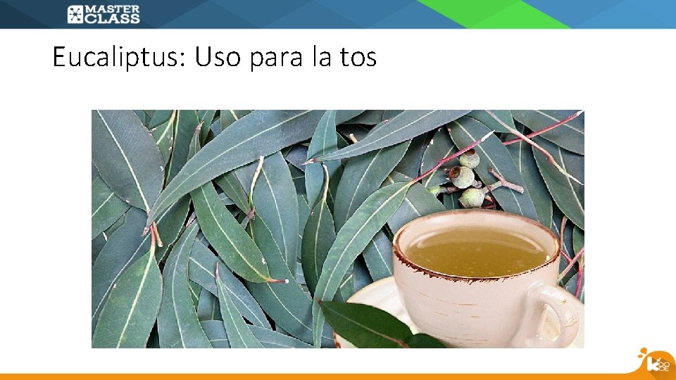 Eucaliptus: Uso para la tos 