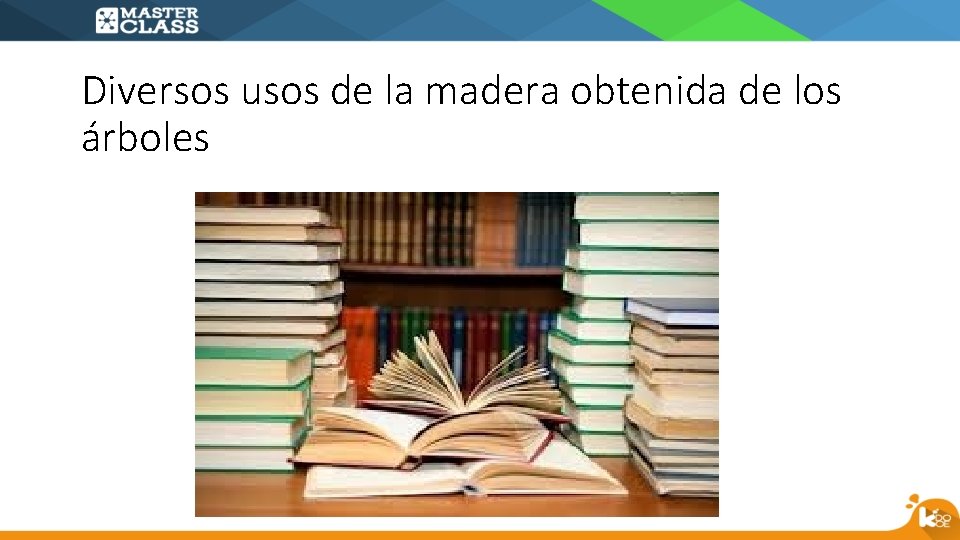 Diversos usos de la madera obtenida de los árboles 