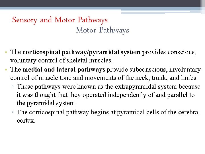 Sensory and Motor Pathways • The corticospinal pathway/pyramidal system provides conscious, voluntary control of