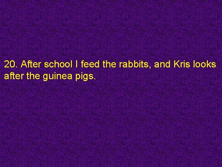 20. After school I feed the rabbits, and Kris looks after the guinea pigs.