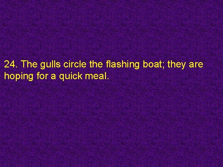 24. The gulls circle the flashing boat; they are hoping for a quick meal.