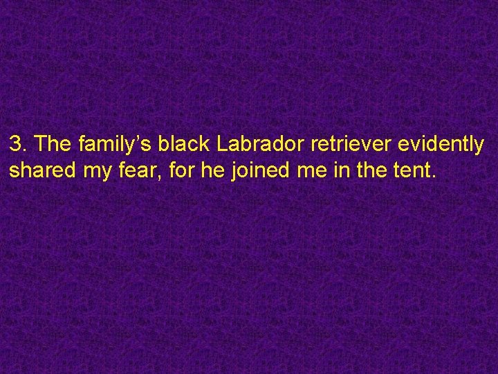 3. The family’s black Labrador retriever evidently shared my fear, for he joined me