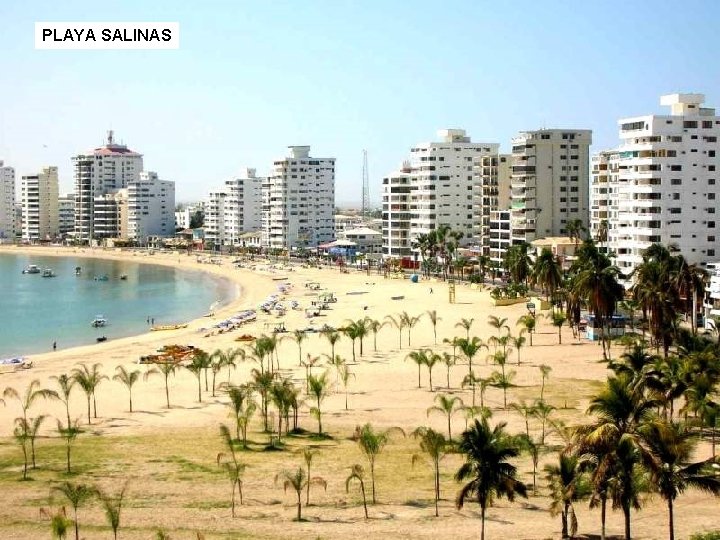 PLAYA SALINAS 