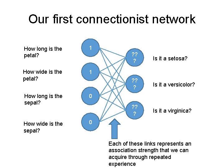 Our first connectionist network How long is the petal? 1 How wide is the