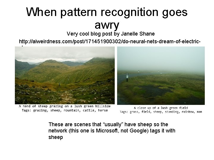 When pattern recognition goes awry Very cool blog post by Janelle Shane http: //aiweirdness.