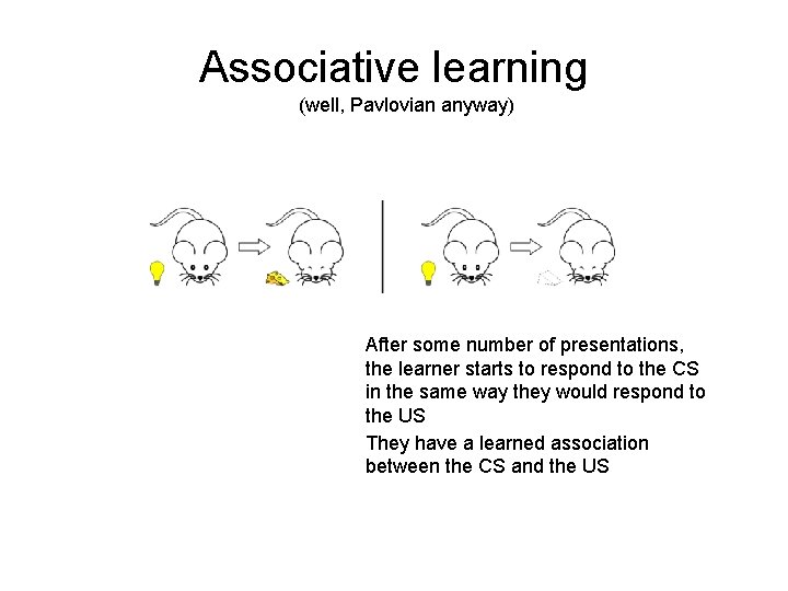 Associative learning (well, Pavlovian anyway) After some number of presentations, the learner starts to