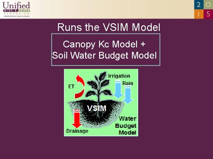 Runs the VSIM Model Canopy Kc Model + Soil Water Budget Model 