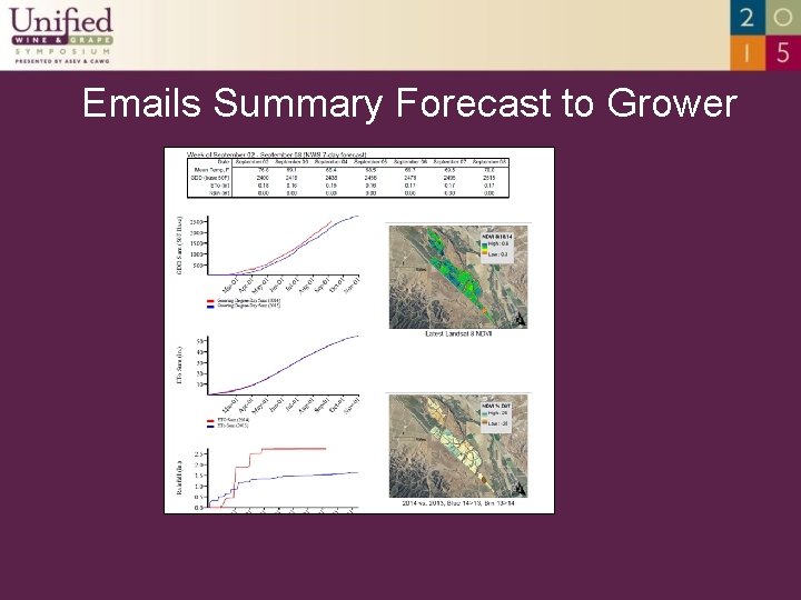 Emails Summary Forecast to Grower 