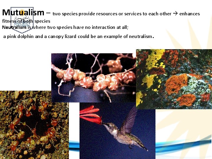 Mutualism – two species provide resources or services to each other enhances fitness of