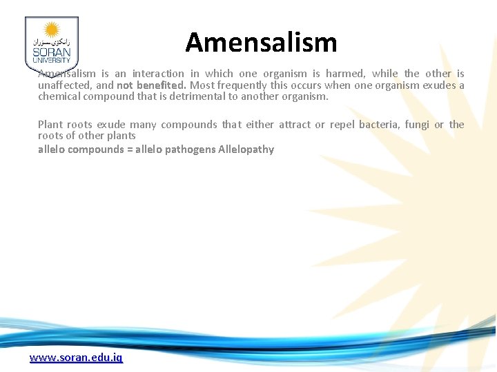 Amensalism is an interaction in which one organism is harmed, while the other is