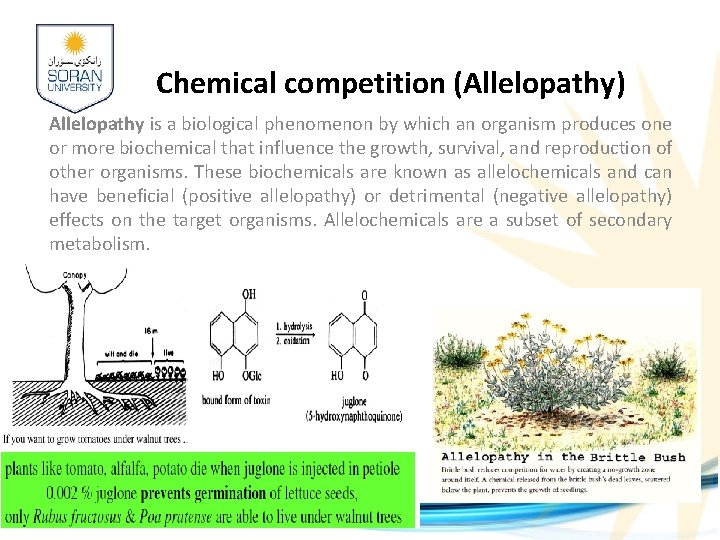 Chemical competition (Allelopathy) Allelopathy is a biological phenomenon by which an organism produces one