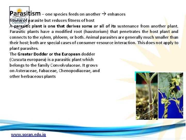 Parasitism – one species feeds on another enhances fitness of parasite but reduces fitness