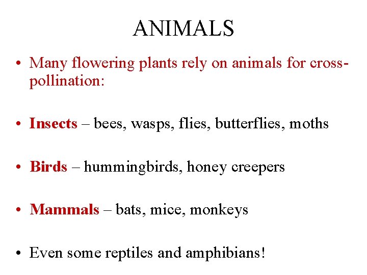 ANIMALS • Many flowering plants rely on animals for crosspollination: • Insects – bees,