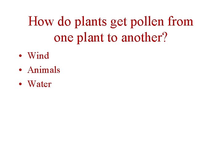 How do plants get pollen from one plant to another? • Wind • Animals