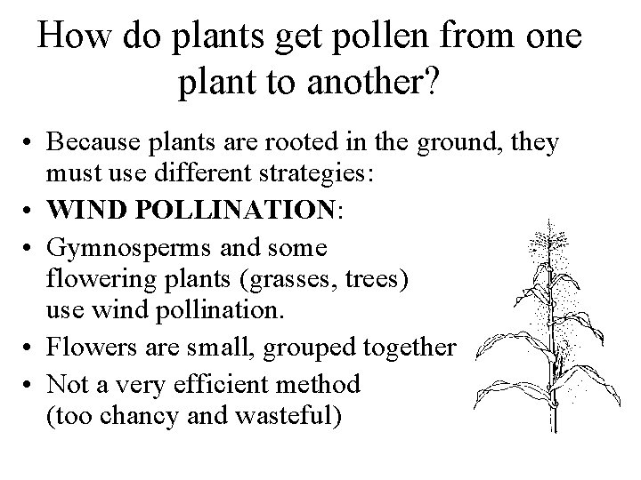 How do plants get pollen from one plant to another? • Because plants are