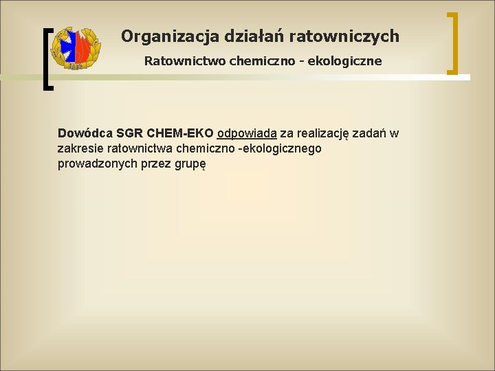 Organizacja działań ratowniczych Ratownictwo chemiczno - ekologiczne Dowódca SGR CHEM-EKO odpowiada za realizację zadań