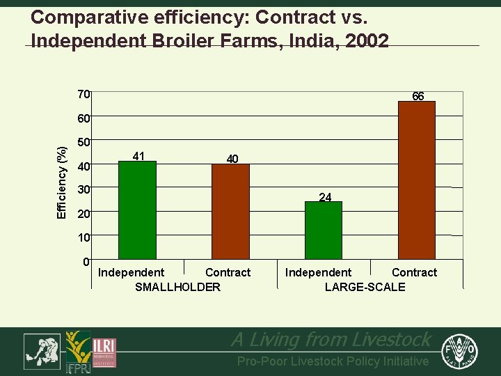 Comparative efficiency: Contract vs. Independent Broiler Farms, India, 2002 70 66 Efficiency (%) 60