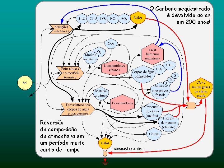 O Carbono seqüestrado é devolvido ao ar em 200 anos! Reversão da composição da