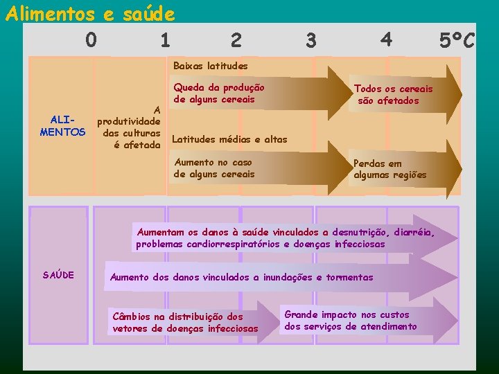 Alimentos e saúde 0 1 2 4 3 Baixas latitudes ALIMENTOS A produtividade das