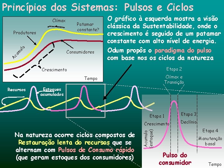 Princípios dos Sistemas: Pulsos e Ciclos Clímax Patamar constante? ul o Produtores Ac um