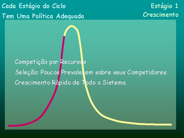 Cada Estágio do Ciclo Tem Uma Política Adequada Estágio 1 Crescimento Competição por Recursos