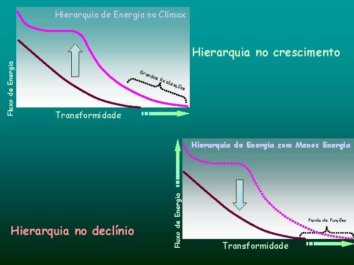 Hierarquia de Energia no Clímax Fluxo de Energia Hierarquia no crescimento Gra n des