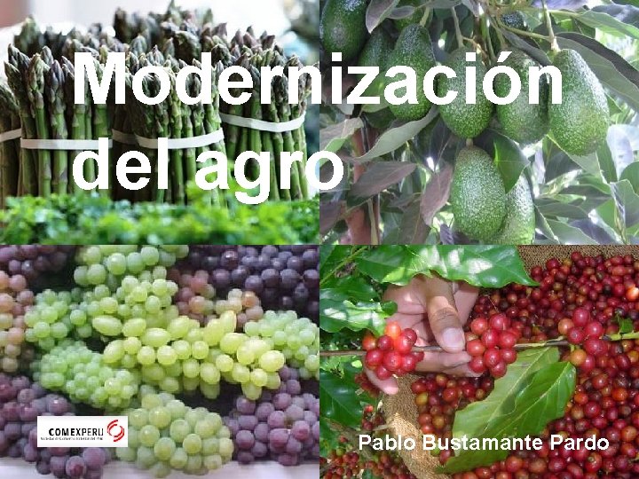 Modernización del agro Pablo Bustamante Pardo 