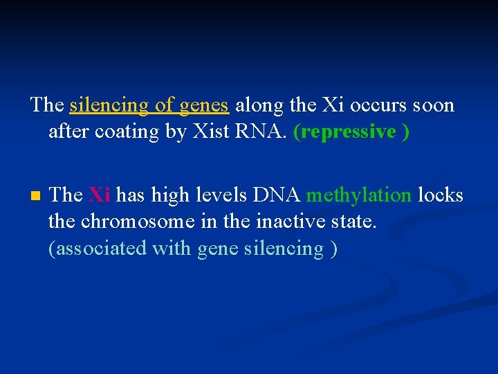 The silencing of genes along the Xi occurs soon after coating by Xist RNA.
