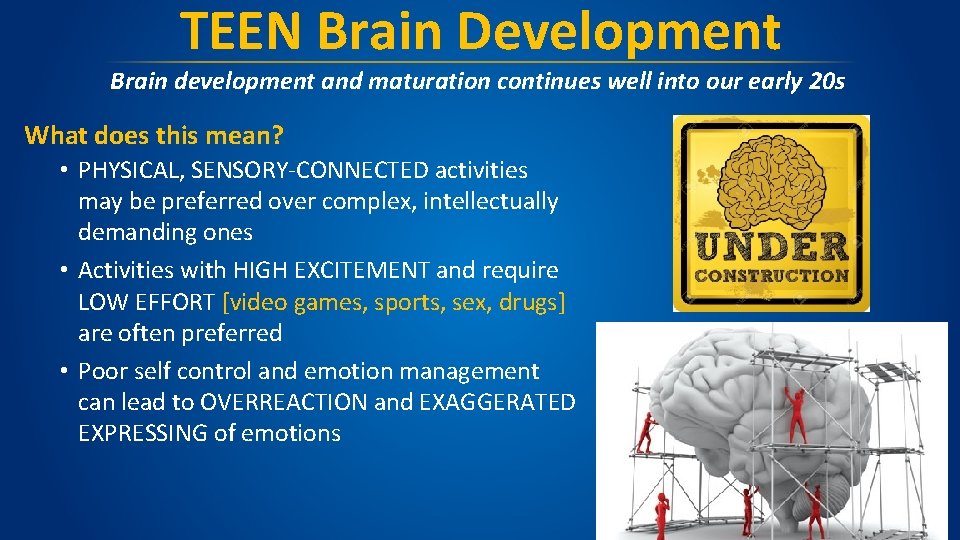 TEEN Brain Development Brain development and maturation continues well into our early 20 s