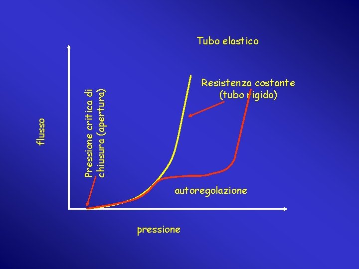 Resistenza costante (tubo rigido) Pressione critica di chiusura (apertura) flusso Tubo elastico autoregolazione pressione