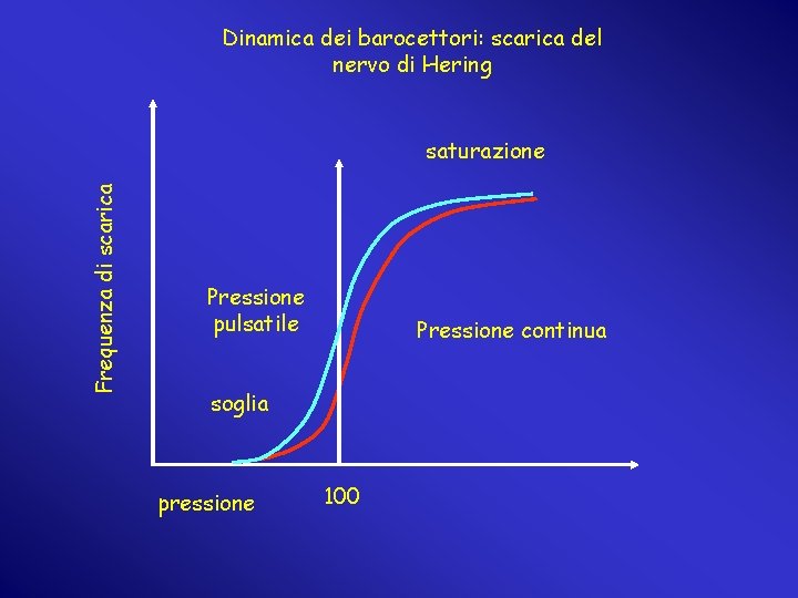 Dinamica dei barocettori: scarica del nervo di Hering Frequenza di scarica saturazione Pressione pulsatile