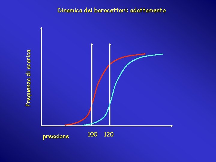 Frequenza di scarica Dinamica dei barocettori: adattamento pressione 100 120 