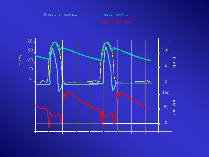 Pressione aortica Flusso aortico Pressione ventricolare Flusso circonflessa 120 10 60 30 0 5