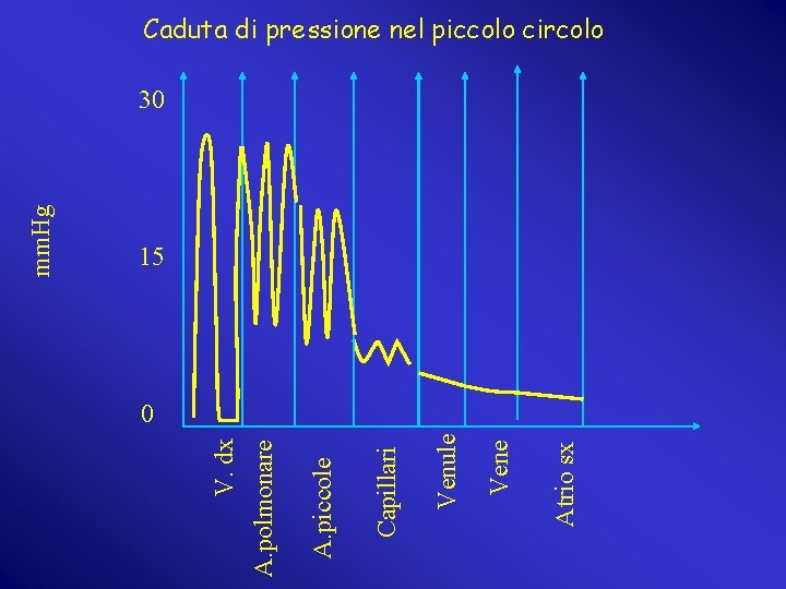 Atrio sx Vene Venule Capillari A. piccole A. polmonare V. dx mm. Hg Caduta