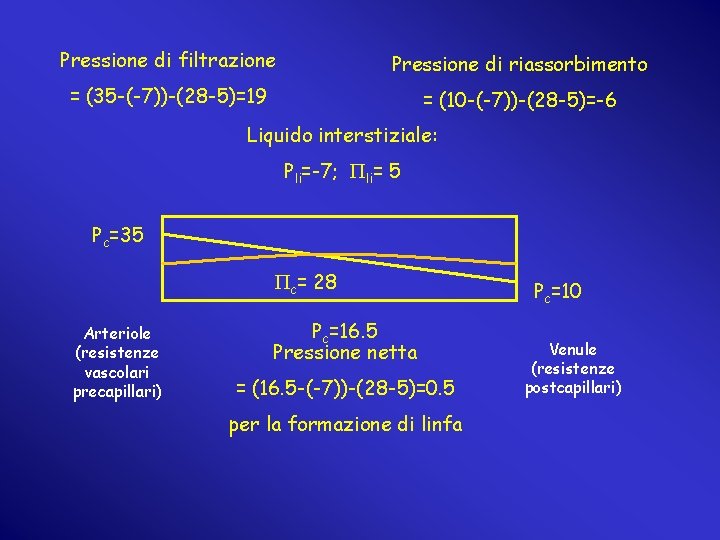 Pressione di filtrazione Pressione di riassorbimento = (35 -(-7))-(28 -5)=19 = (10 -(-7))-(28 -5)=-6