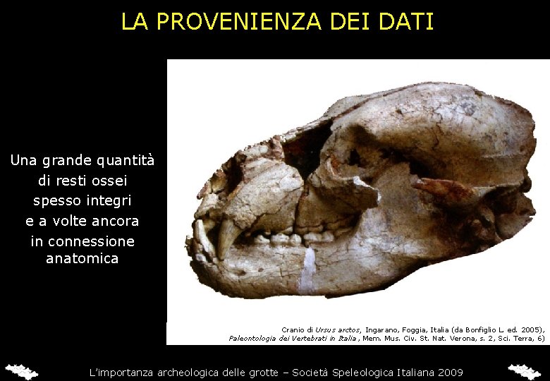 LA PROVENIENZA DEI DATI Una grande quantità di resti ossei spesso integri e a