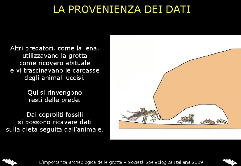 LA PROVENIENZA DEI DATI Altri predatori, come la iena, utilizzavano la grotta come ricovero