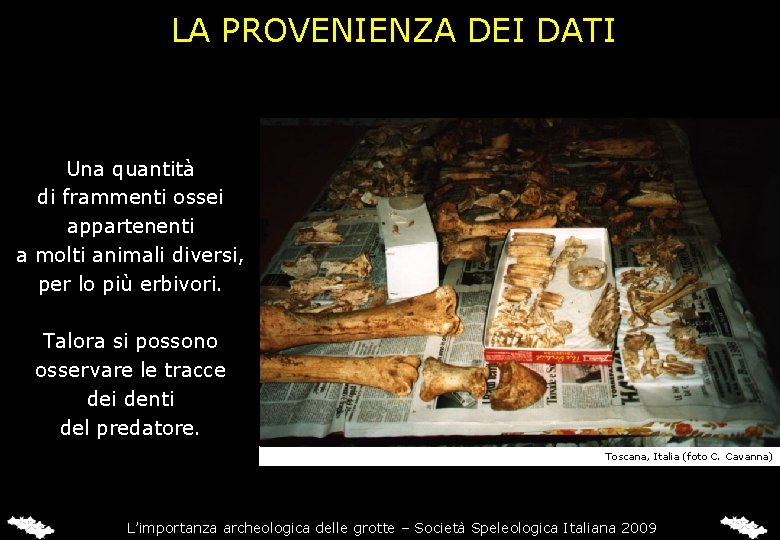 LA PROVENIENZA DEI DATI Una quantità di frammenti ossei appartenenti a molti animali diversi,